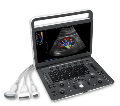 DP 10 portable ultrasound