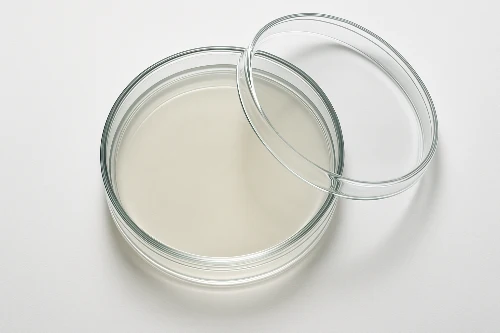 PETRI DISHES 100MM (PACK OF 10)Professional Laboratory Equipment | Scientific Supplies